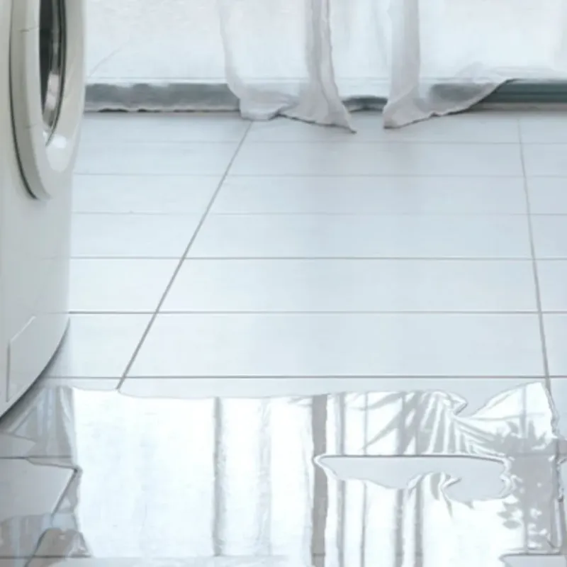 Appliance Leak Cleanup in Sleepy Hollow, IL