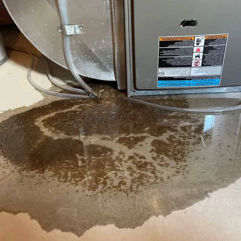 Pipe Burst and Leak Restoration in Sleepy Hollow, IL