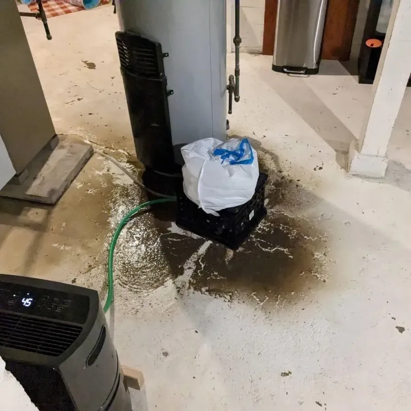 Sewage Backup Cleanup Service in Sleepy Hollow, IL